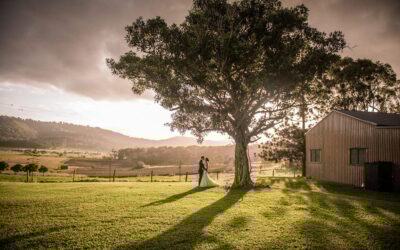 Wedding Venues Near Montville QLD: Stunning Hinterland Alternatives for Your Celebration
