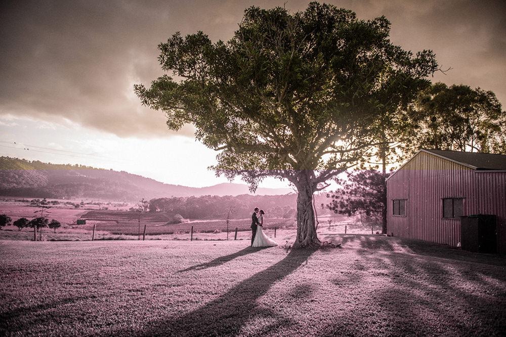 wedding venues montville qld dream wedding with natural beauty and stunning setting ceremony