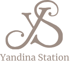 logo-yandina