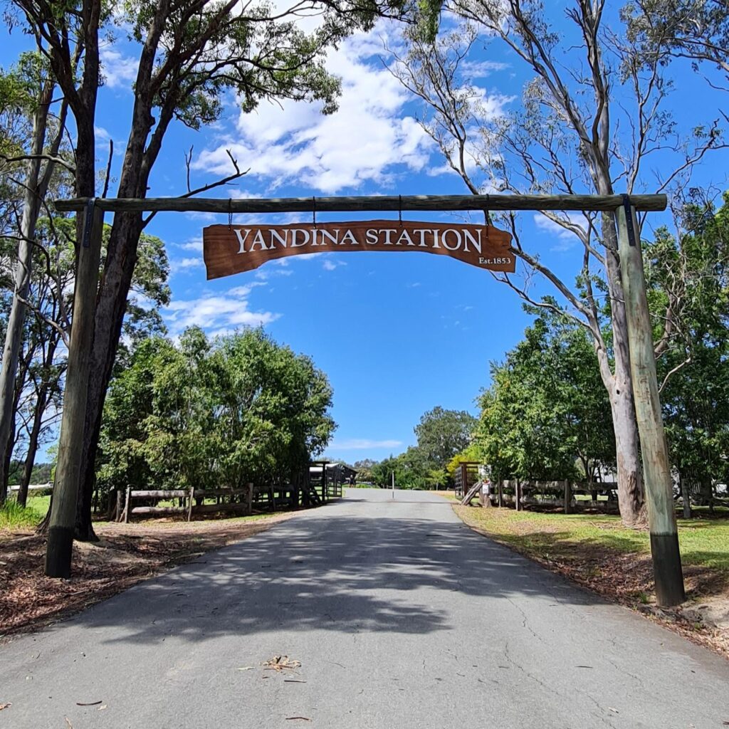 yandina station
