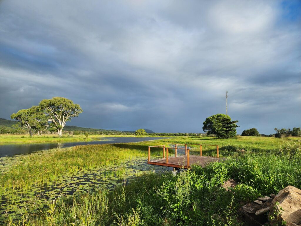 The Sunshine Coast Hinterland accommodations range from luxurious, secluded rainforest retreats to family-friendly farm stays and boutique hotels.