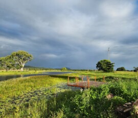 hinterland