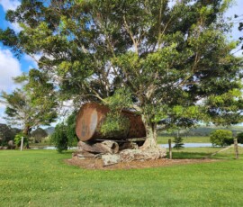 Sunshine Coast wedding venue in the hinterland